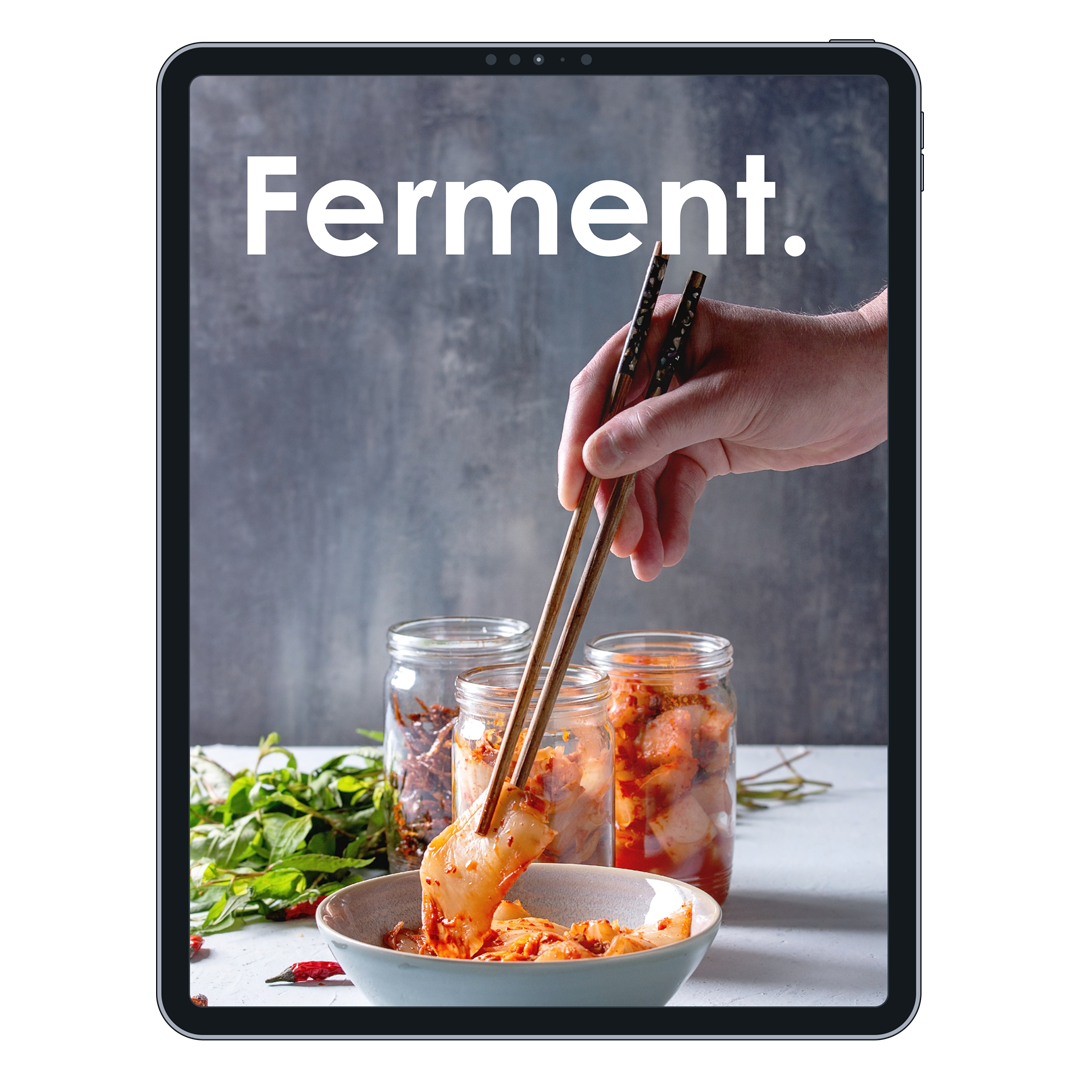 Fermentation Cookbook