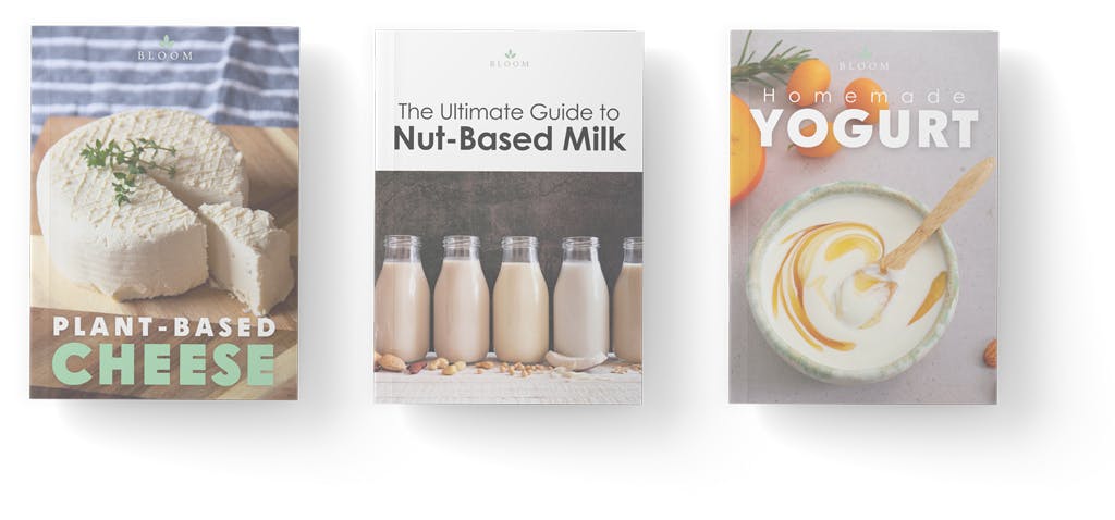 Cheese & Yogurt Cookbooks - Bundle